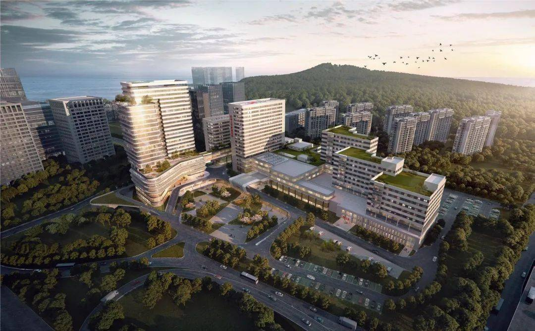 mmexport1676538915960.jpg mmexport1676538915960.jpg